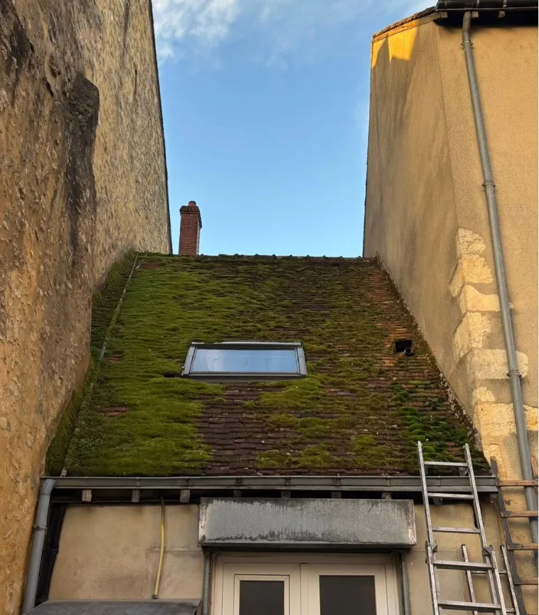 before-image